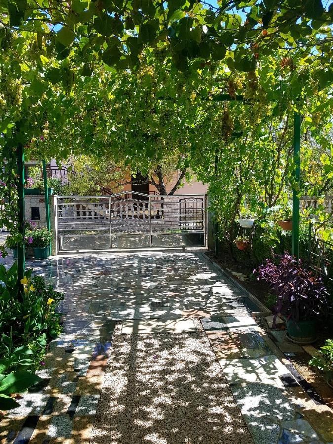 Apartments Petar & Anka بيوغْغاد نا موغو المظهر الخارجي الصورة